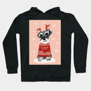 Christmas Miniature Schnauzer in Woolly Jumper and Reindeer Antlers Hoodie